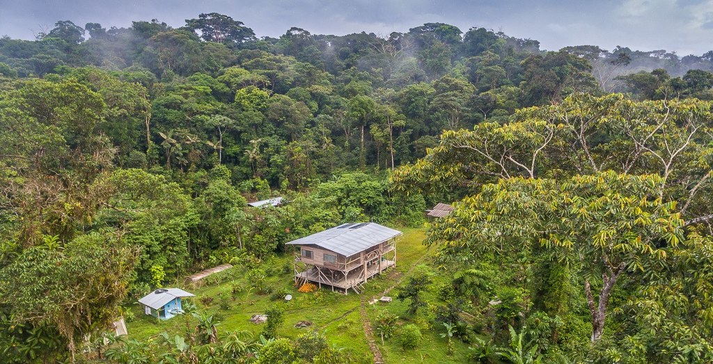 Amazonian ecolodge in primary forest