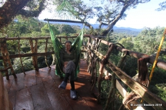 Hanging chair on canopy platform #2