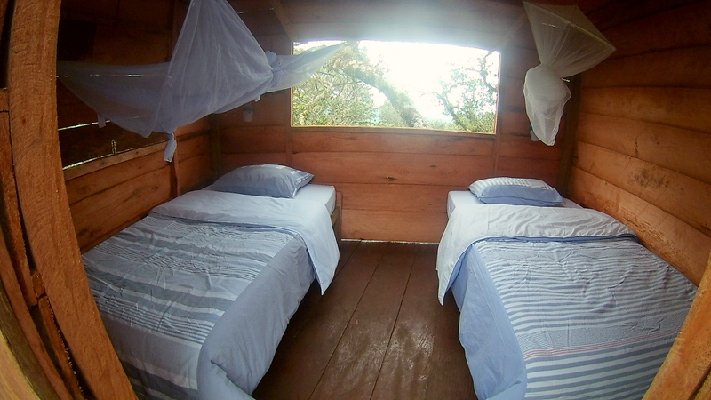 Room in canopy!