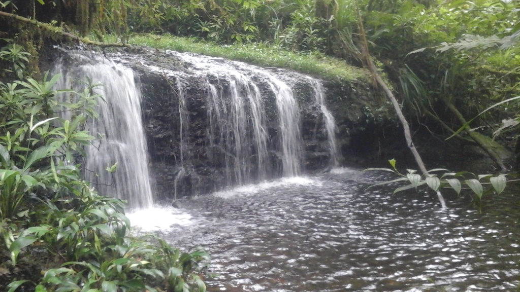 El jacuzzi a lo largo del sendero amarillo.