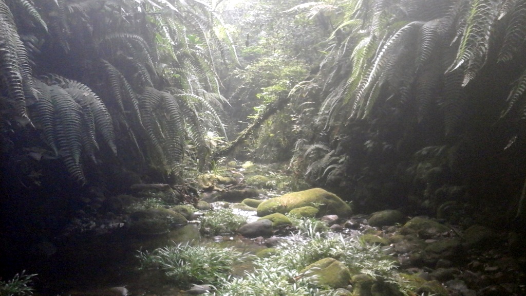 Cañón al lado del sendero amarillo!