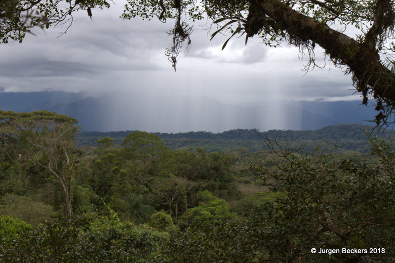 Rain is coming!