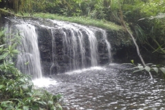 The jacuzzi creek along the yellow path.