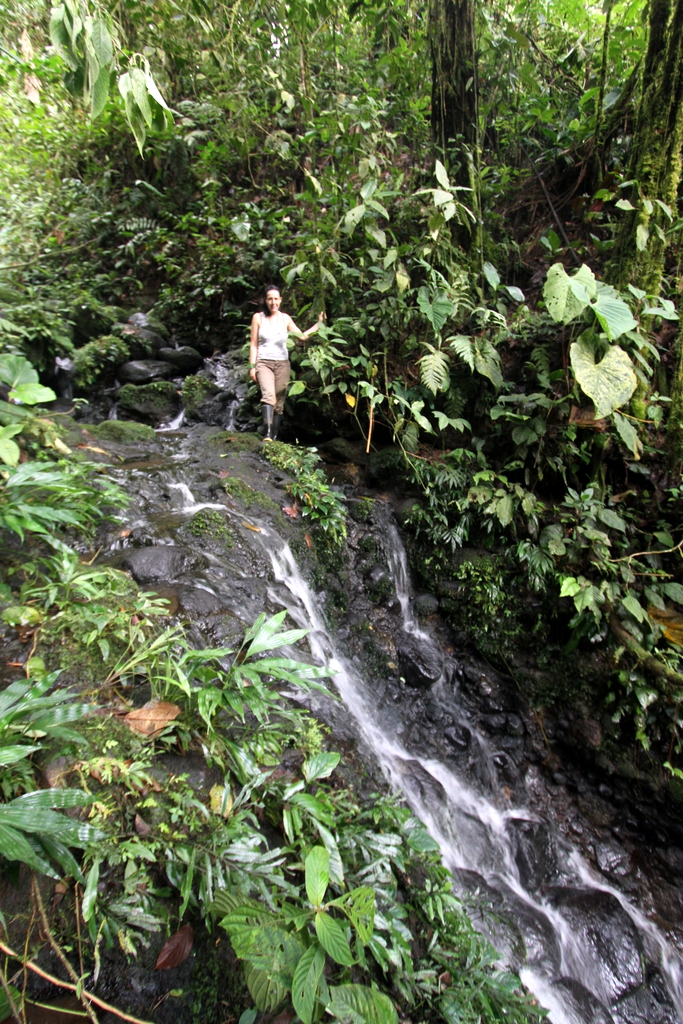 Waterval langs het purperen pad