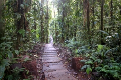 The entrance trail